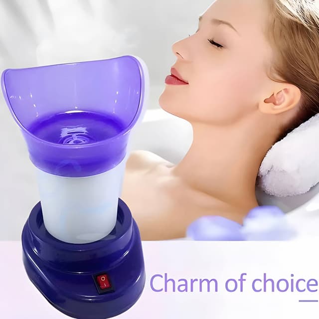 Face Steamer